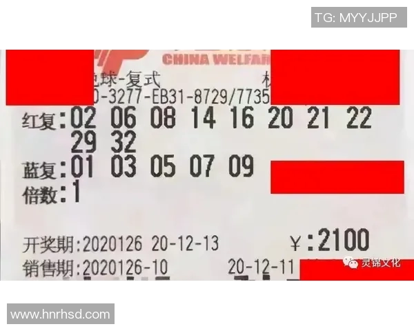 双色球模拟摇号器助你轻松选号体验乐趣与惊喜的完美结合