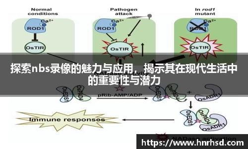 亿兆体育登录